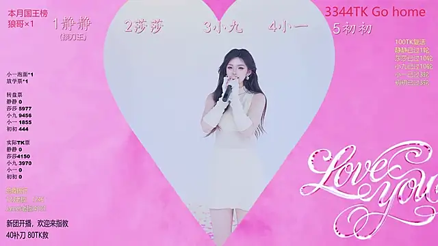 TY-002 webcam
