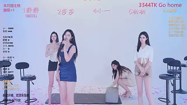 TY-002 webcam