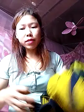 Ngocmi909 webcam
