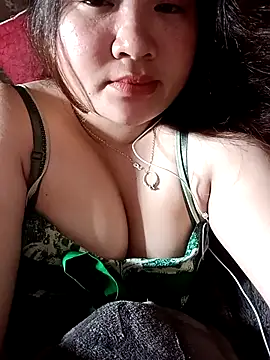 Meo-catwet webcam