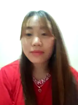 he-se-kin webcam