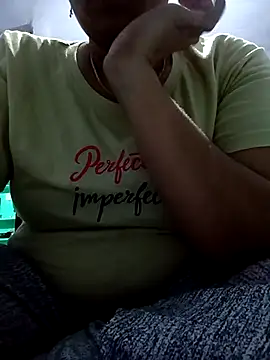 Hansikatelugu webcam