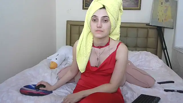 Iren webcam
