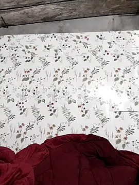 zhen-zo webcam