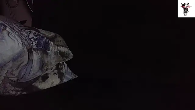 jamismu webcam