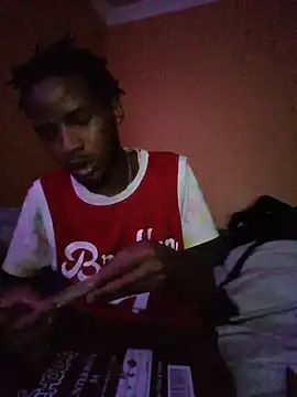 MrD_TSA012 webcam