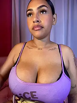 MaverickGray webcam