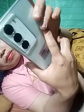 opna43 webcam