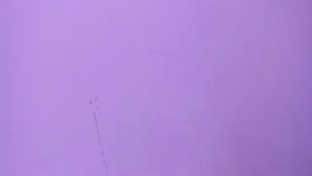camila_scoth webcam