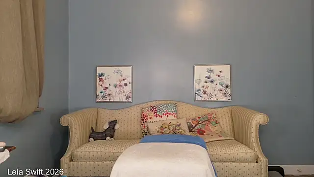 LeiaSwift webcam
