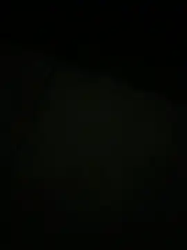 Foxfoxfox4 webcam