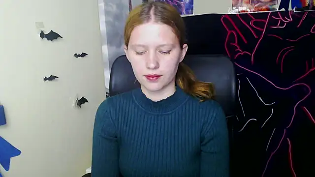 StellaCRL webcam