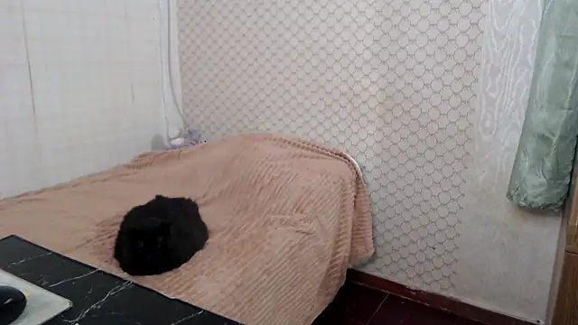 Janiffer_MiMi webcam