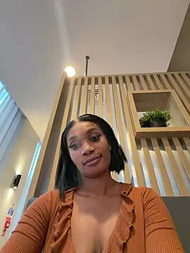  ___Nessa chat room