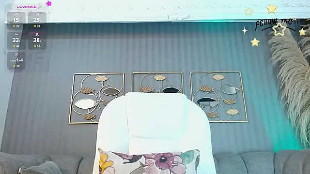 aria_li webcam