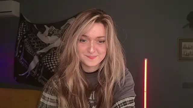 BellaSink webcam