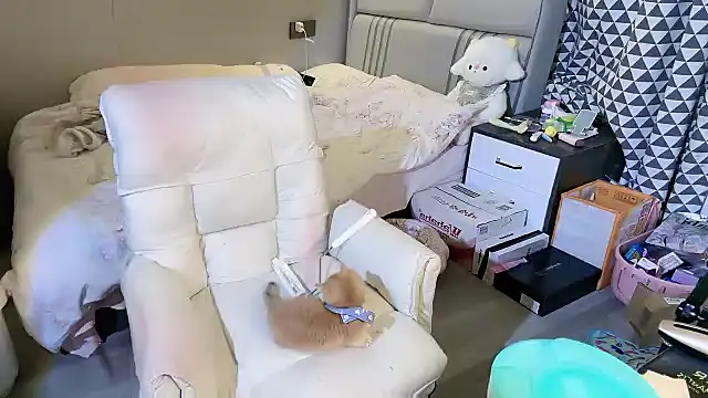 xiaoguaiss webcam