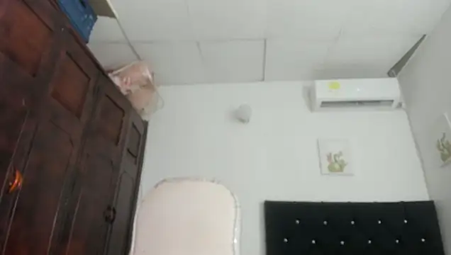 barbie_ds webcam