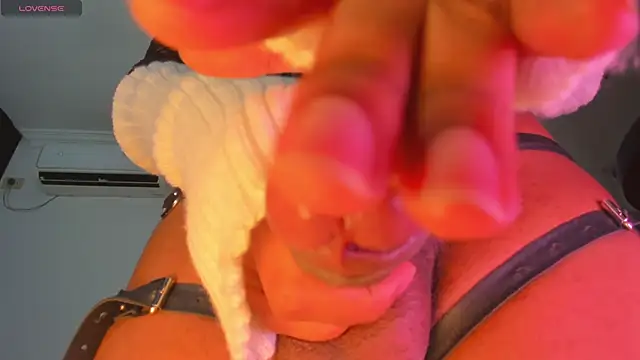 _foxy_00 webcam