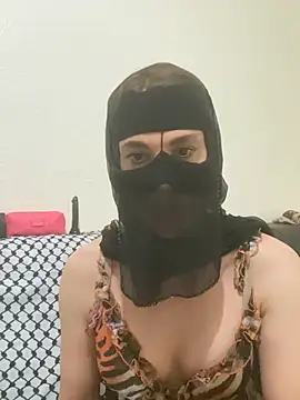 Ashwak_trans webcam
