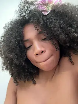 RENELL webcam