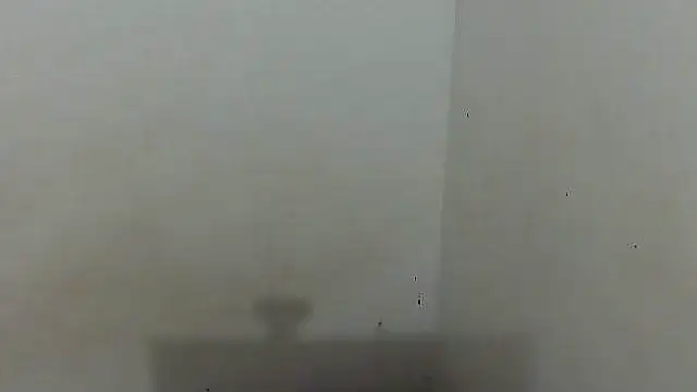 charrysexy1 webcam