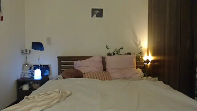 your_heaven webcam