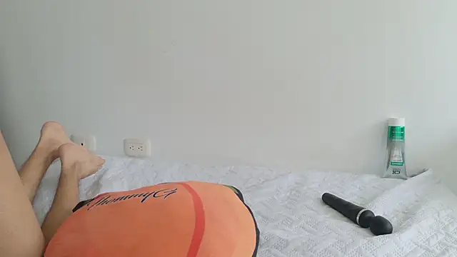 grey___27 webcam