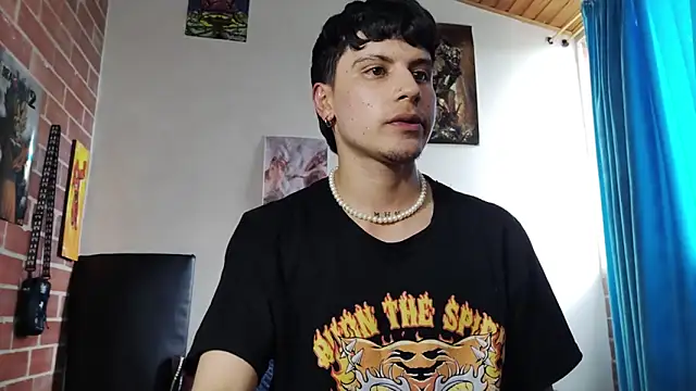 PaulDamico webcam