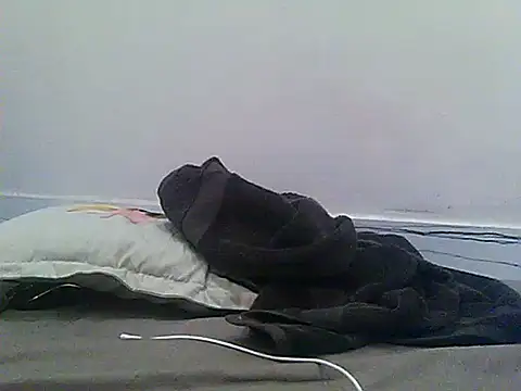 Kalalund_up32 webcam