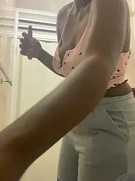 Siwe30 webcam