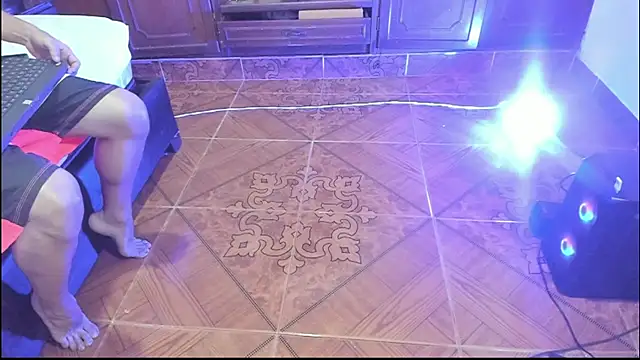 DilanAndKing webcam