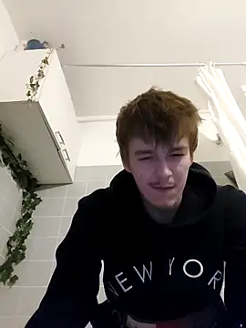Toyjungee webcam