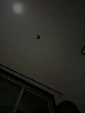 aksyv webcam