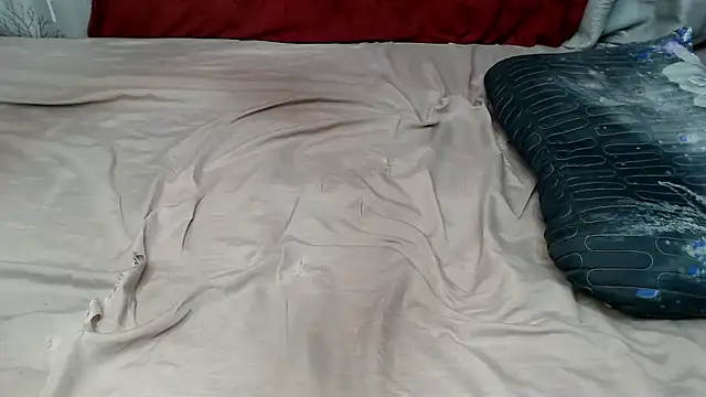 WEPUSSY23XX webcam