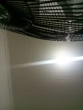 loveofpetitegirls34 webcam