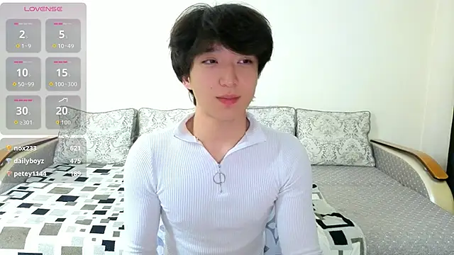 DianInav webcam