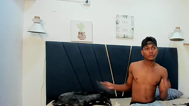 An_fox23 webcam