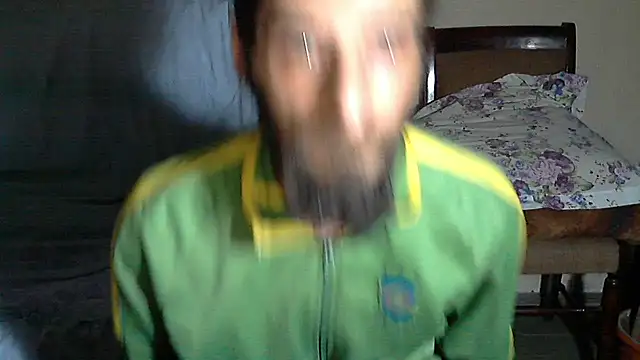 vulpe8400 webcam
