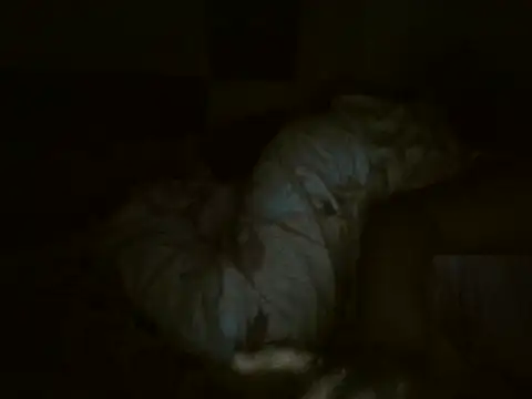 MakeMeCumAhh