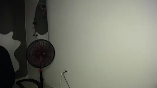 Stephany_29 webcam