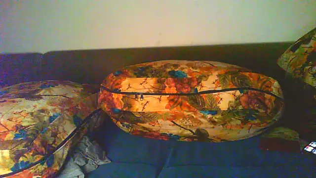 Vbestshow webcam