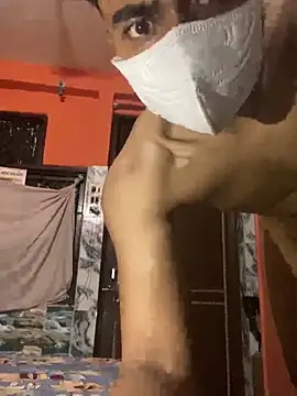 bull_inside29 (M young) - Rent