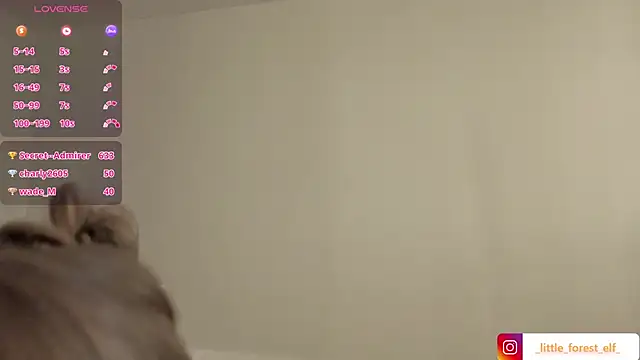LittleForestELF2 webcam