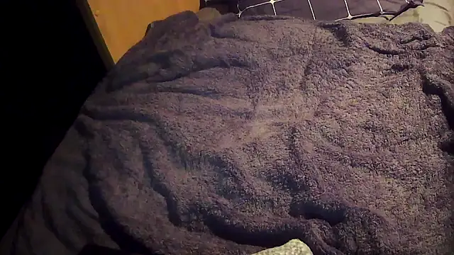 Im1208 webcam