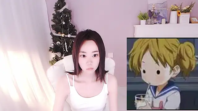 hall-33 webcam