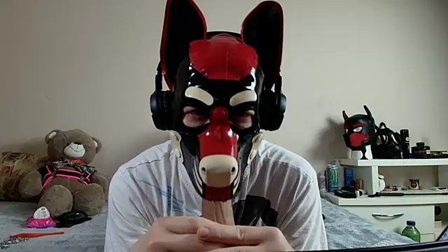 K9_GoodBoy webcam
