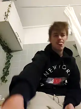 Toyjungee webcam