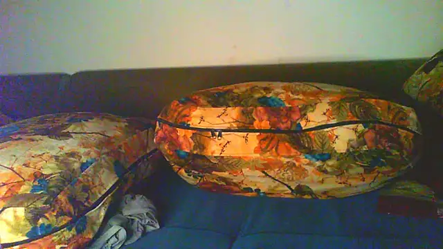 Vbestshow webcam
