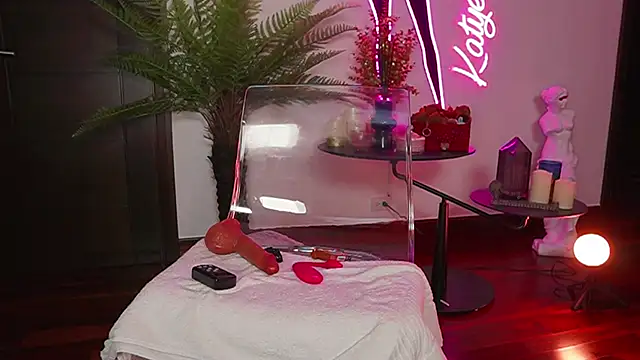 Katyerave webcam